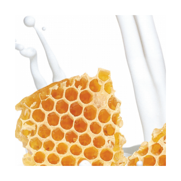 milk__honey